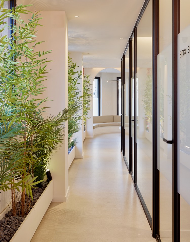 Divisiones con DOMO DECOR